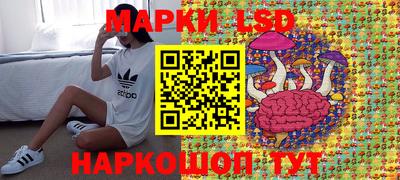 индика Тверь