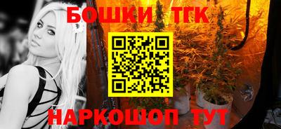 индика Тверь