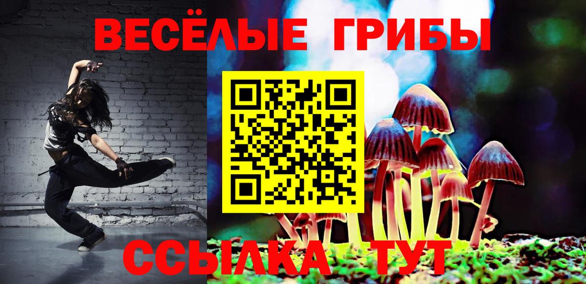 Самара  Галлюциногенные грибы MAGIC MUSHROOMS  Вход с VPN 